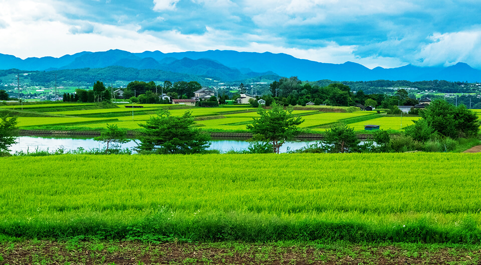 農地の売却が難しい理由とは?